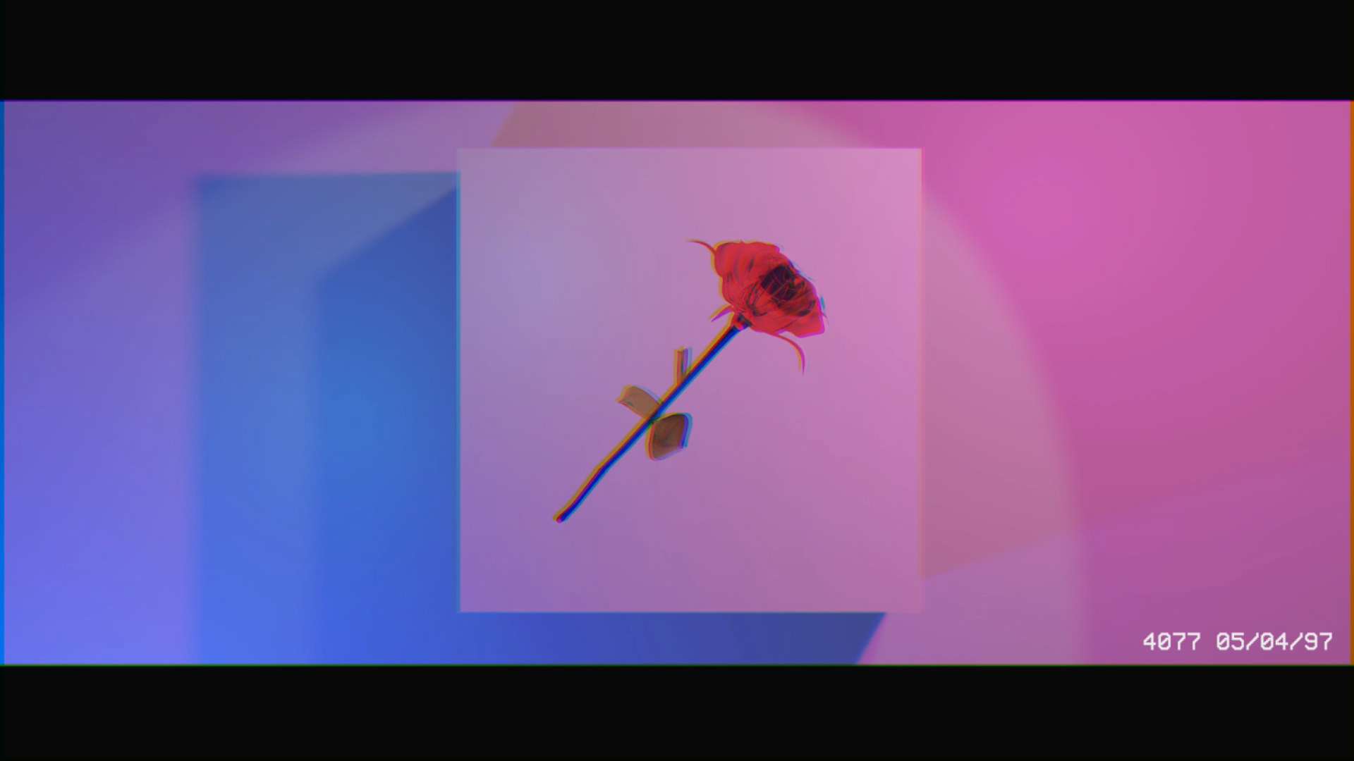 Rose Satie
