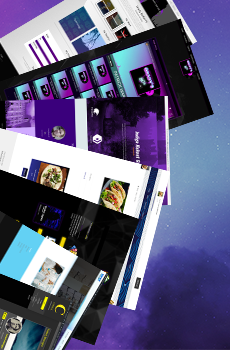 Standard Website