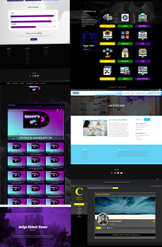 Pro Website